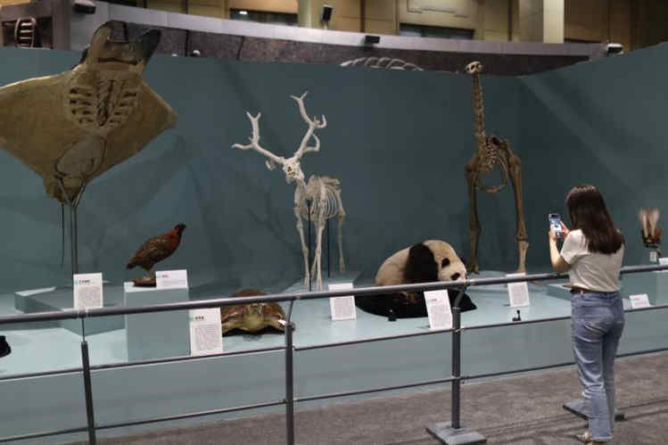 国家自然博物馆正式揭牌