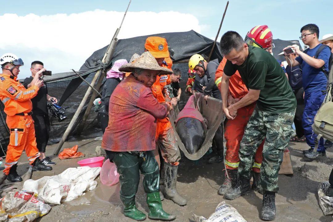 图片[2]-《抚顺日报》：又立功了！中国渔民干得漂亮！-多维新闻网 - 多维度关注热点事件