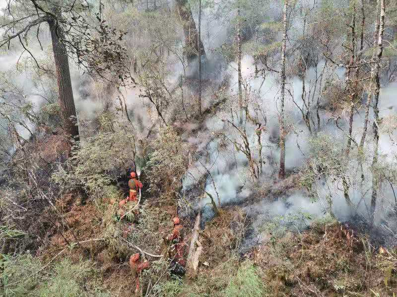 四川木里县博科乡“4·5”森林火灾已扑灭  火场转入看守阶段