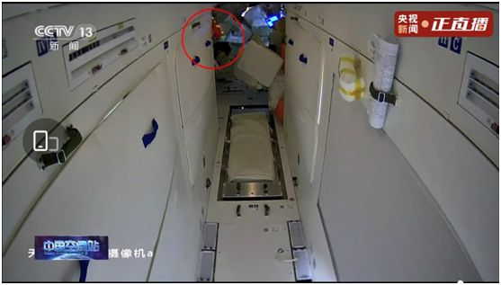 空间站vlog公布，航天员“牛娃”布偶C位出道，网友直呼“牛气冲天”！