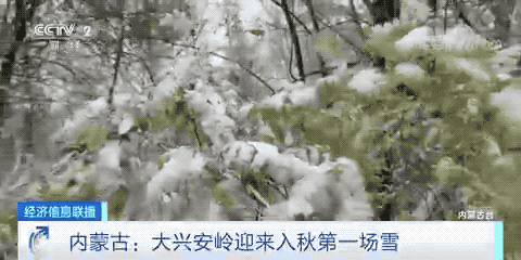 大兴安岭入秋第一场雪，来了！一起看秋日雪景图