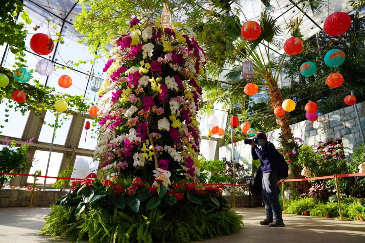 國家植物園聯手打造首屆蘭花展