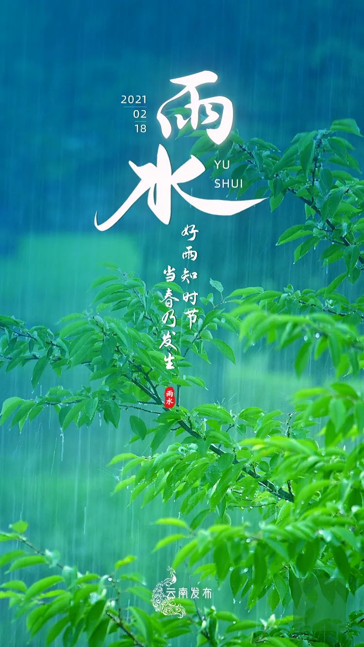 【雨水】一“滴”春雨，唤回美好人间