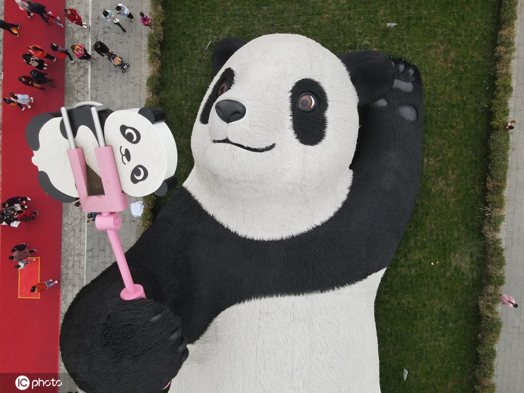 熊猫造型图片