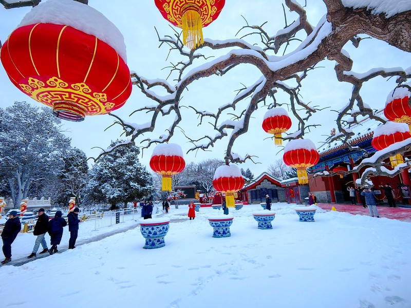 龙年京城第一场雪，在紫禁之巅俯瞰壮美雪景
