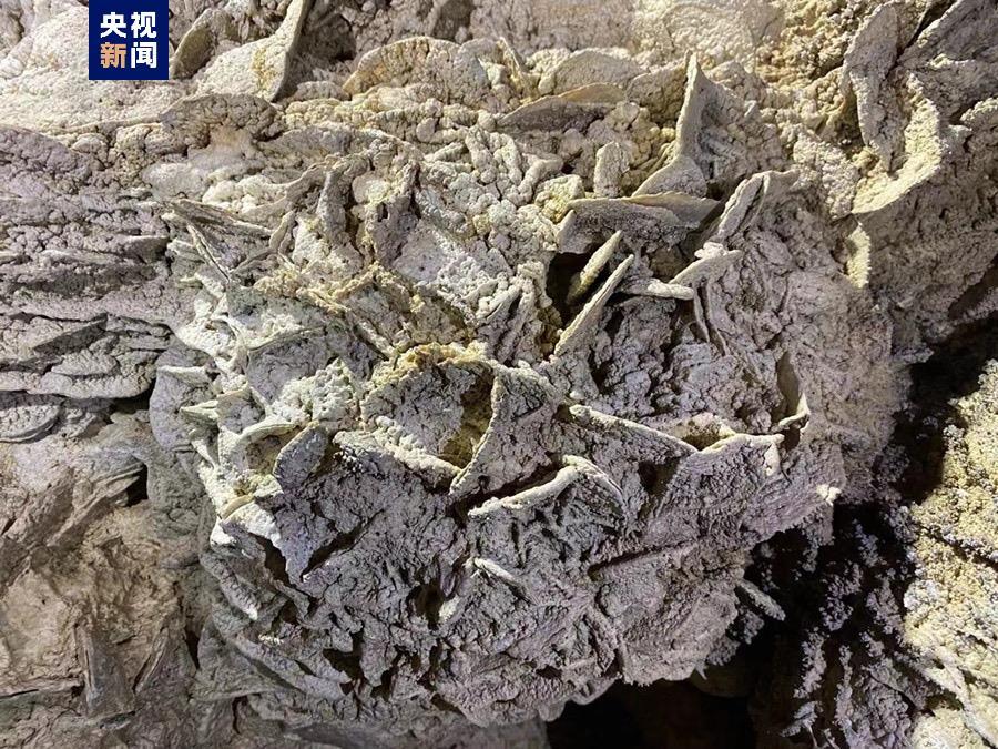 罕见！洞穴“海贝石”奇观在福建被发现