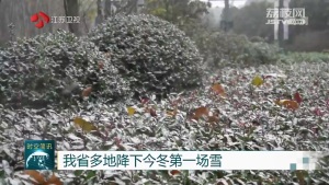 江苏省多地降下今冬第一场雪