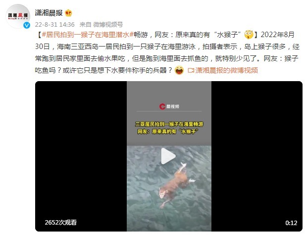 “猴子”居民拍到一猴子在海里游泳，网友：原来真的有“水猴子”