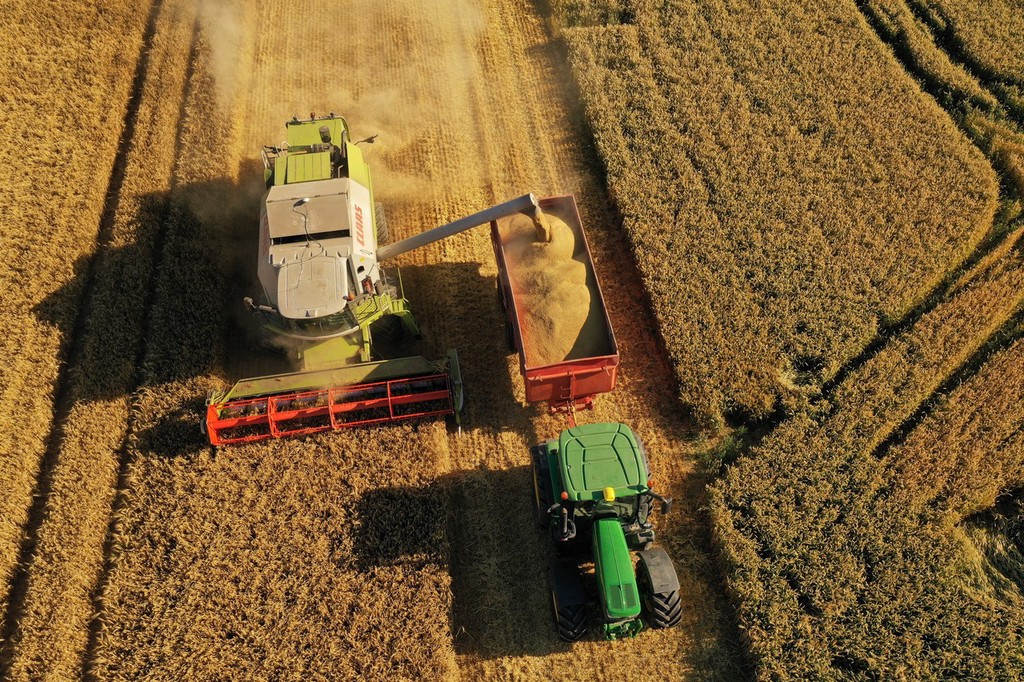 法国埃特里库尔收割季 农民地里收割大麦忙