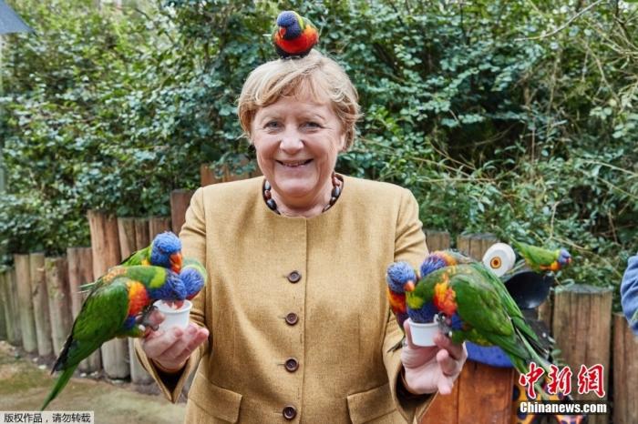 德国总理默克尔逗趣瞬间：和鹦鹉合照被啄