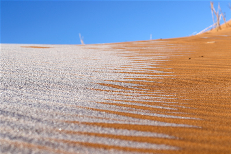 撒哈拉沙漠罕见下雪 “沙海”变“雪海”美到窒息