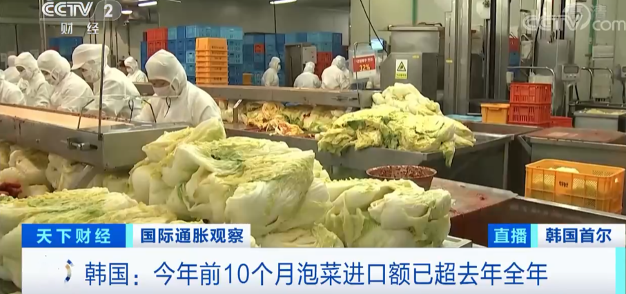 中国泡菜，在韩国卖爆了？盛产泡菜的国家，为何大量进口？