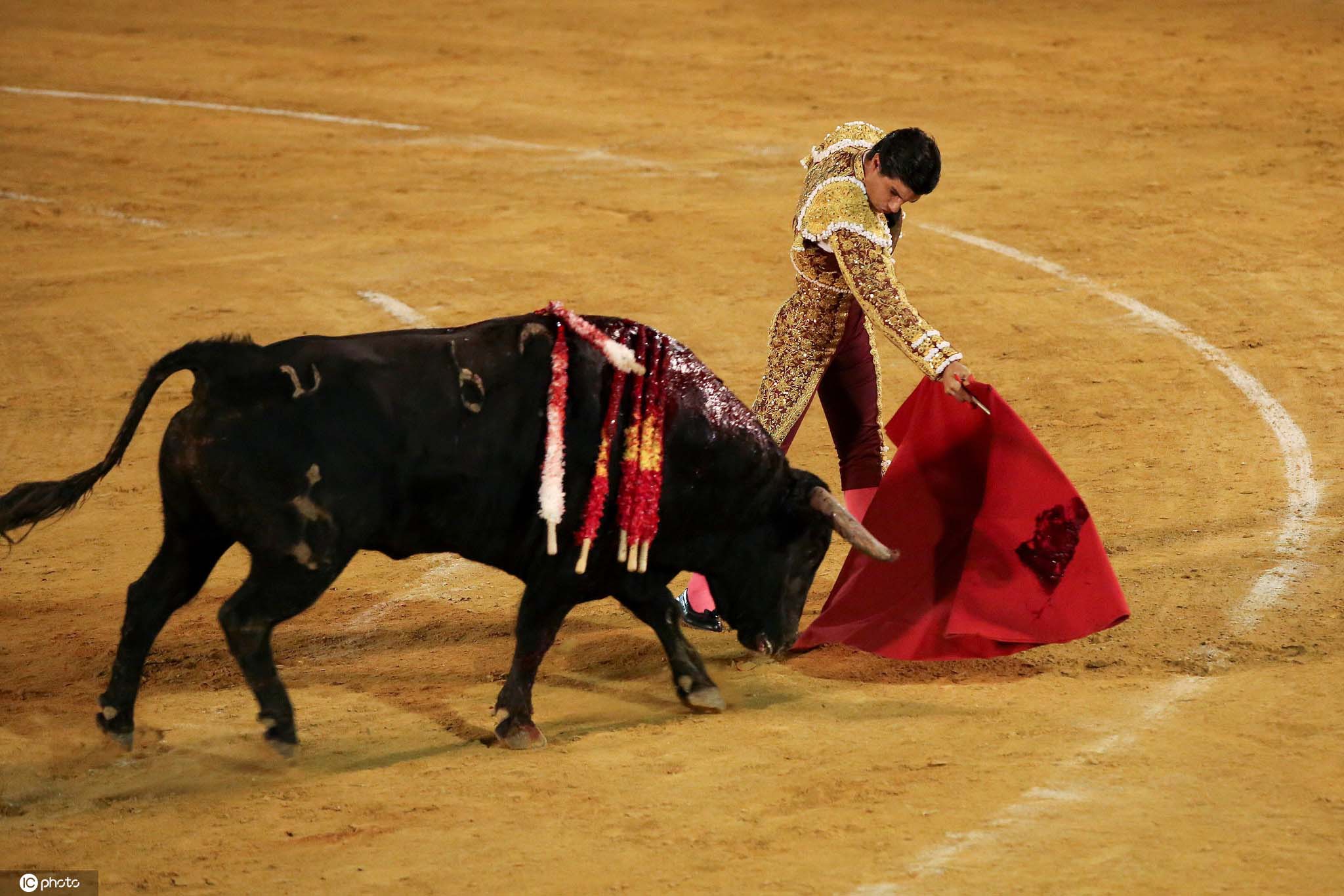 精彩纷呈！西班牙举行斗牛表演赛