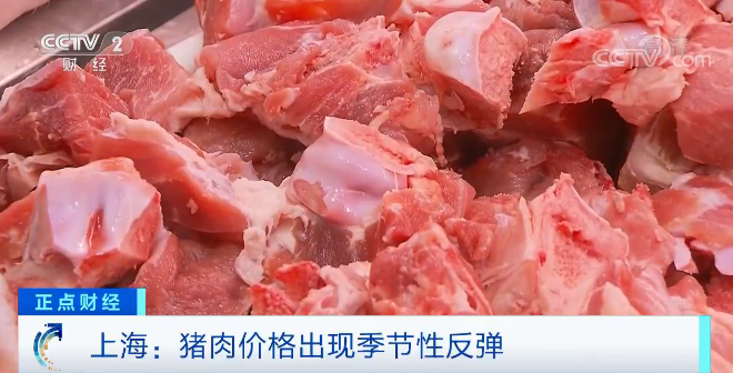 猪肉价格反弹！20000吨中央储备冻猪肉，紧急发货