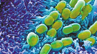 AI独立发现超强抗生素 能有效杀死多种最麻烦的致病细菌